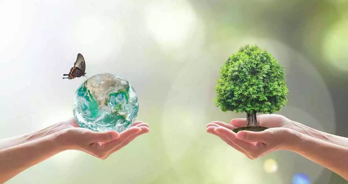 Someone holding the earth and someone else holding a tree
