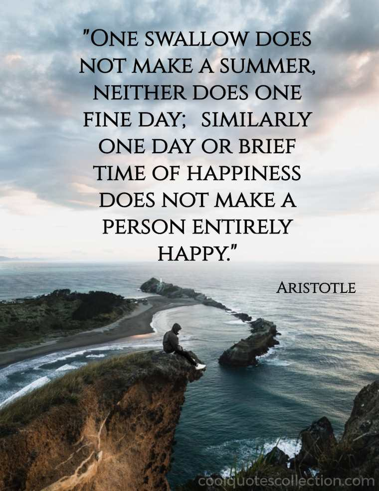 Depression Picture Quotes - "One swallow does not make a summer, neither does one fine day; similarly one day or brief time of happiness does not make a person entirely happy."